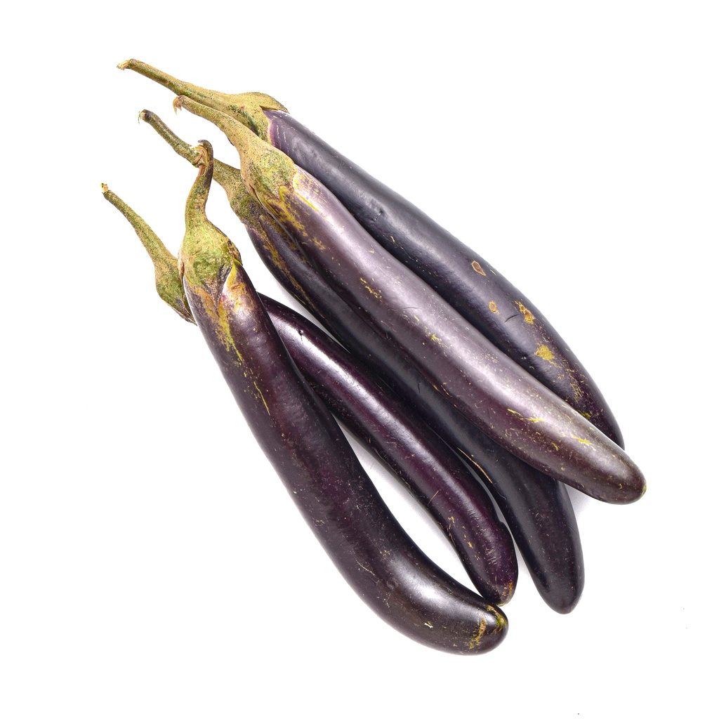 EGGPLANT NATIVE