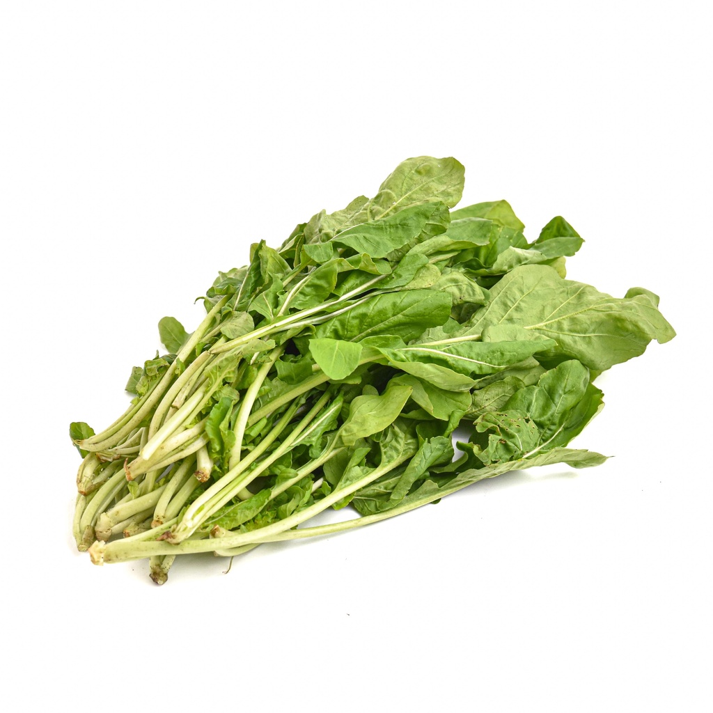 ARUGULA