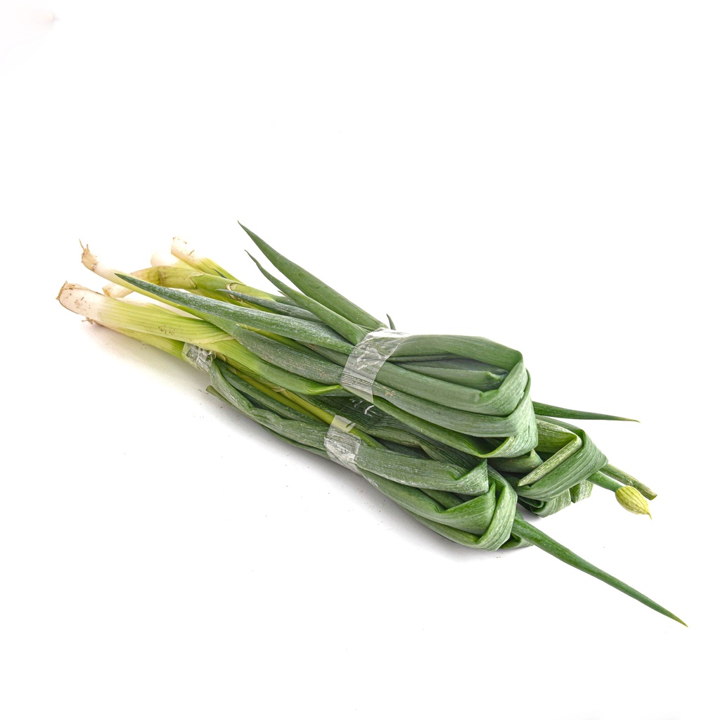 ONION LEEKS