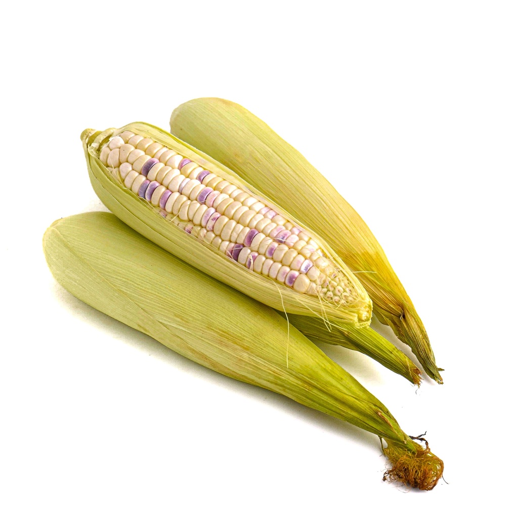 PURPLE SWEET CORN