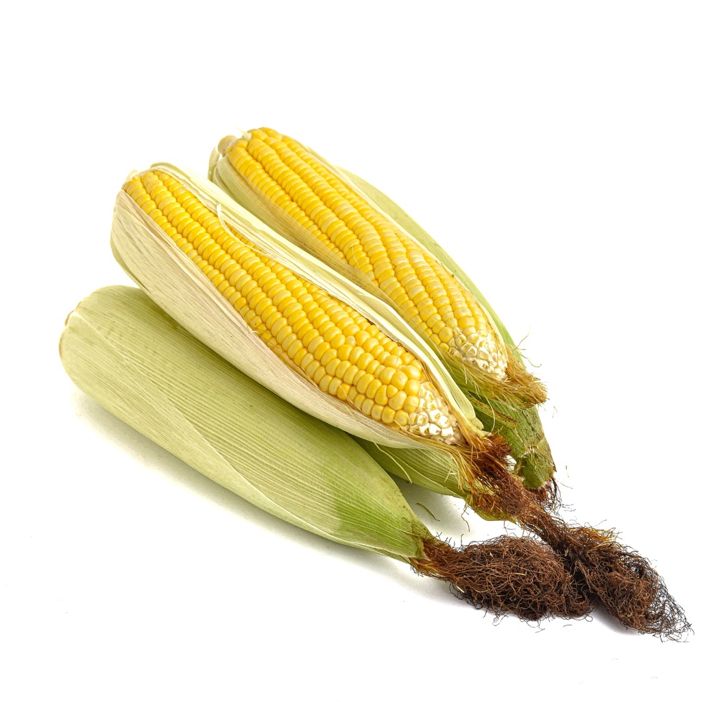 JAPANESE CORN YELLOW