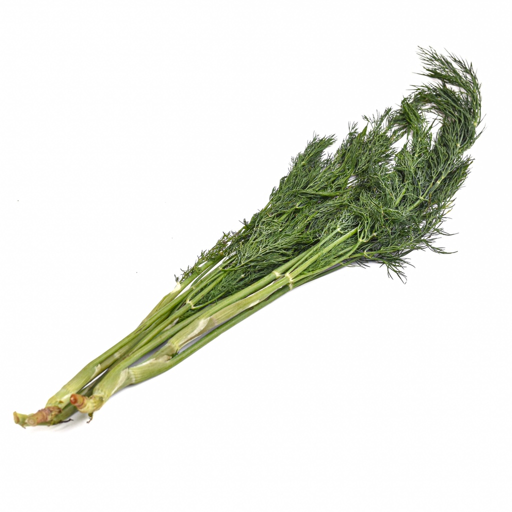 DILL LEAVES