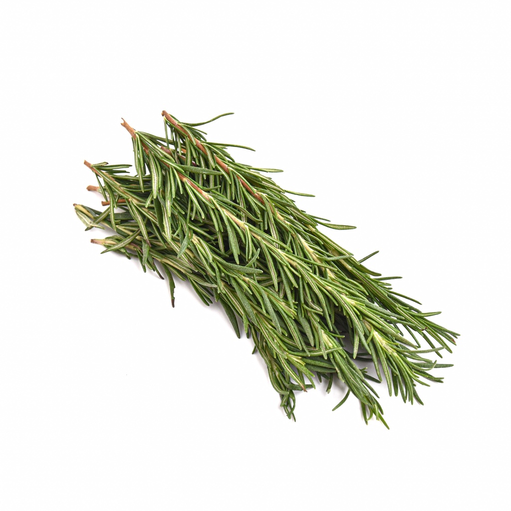 ROSEMARY