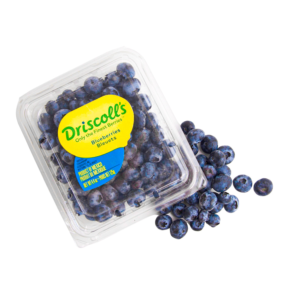 DRISCOLL'S BLUEBERRY