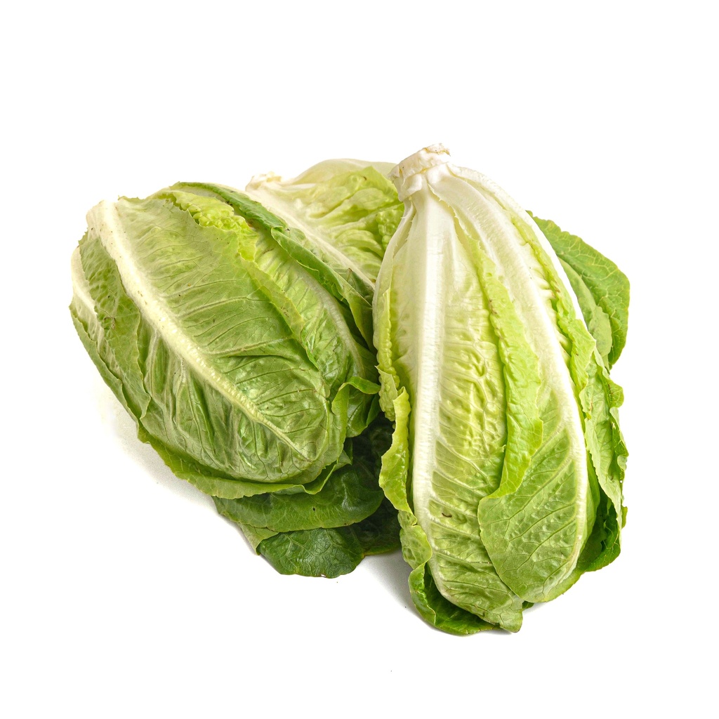 ORGANIC ROMAINE