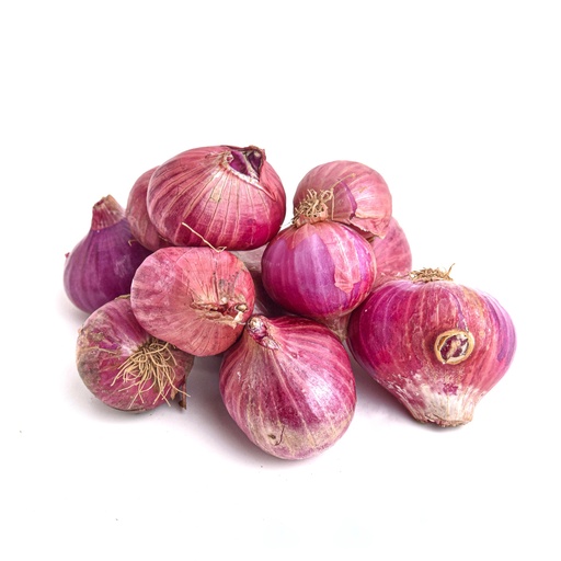 SHALLOTS (LASONA)