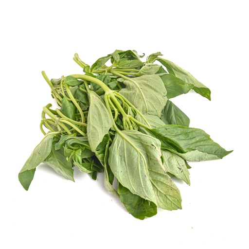 BASIL LEAVES