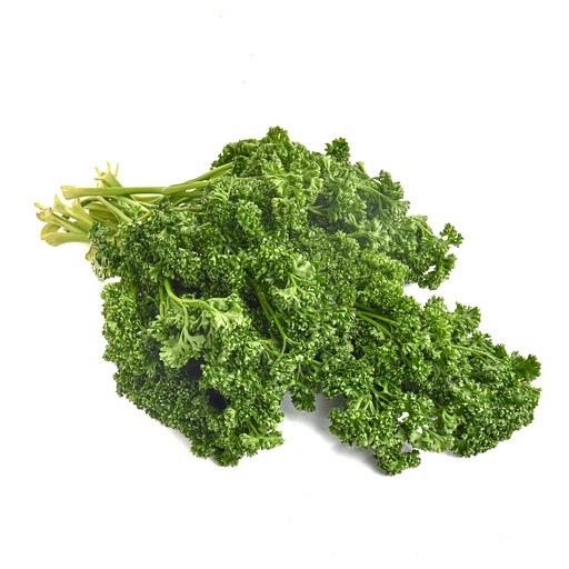 PARSLEY (CURLY)