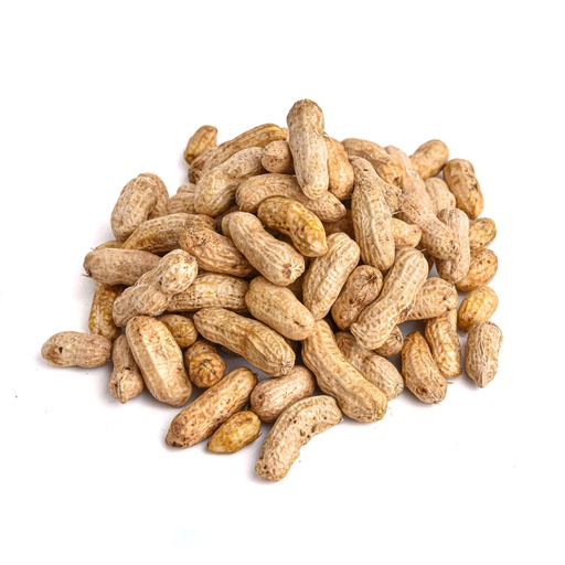 FRESH PEANUT