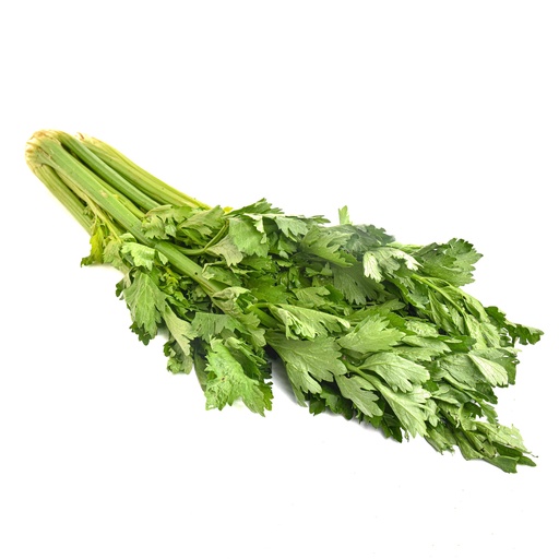 CELERY