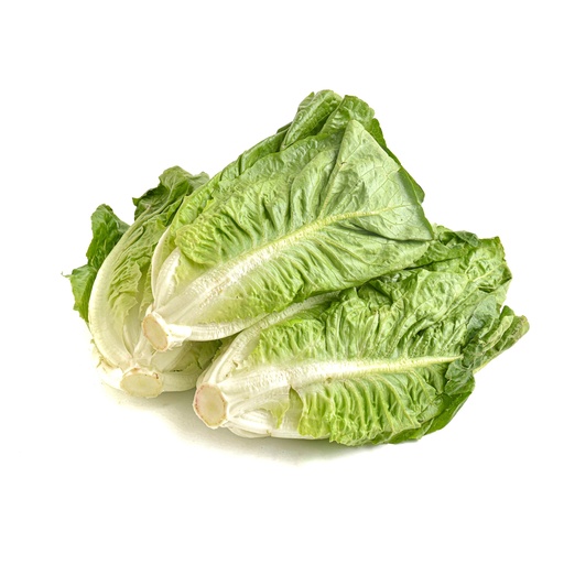 LETTUCE ROMMAINE