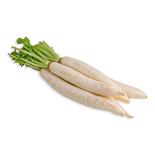 ORGANIC RADISH